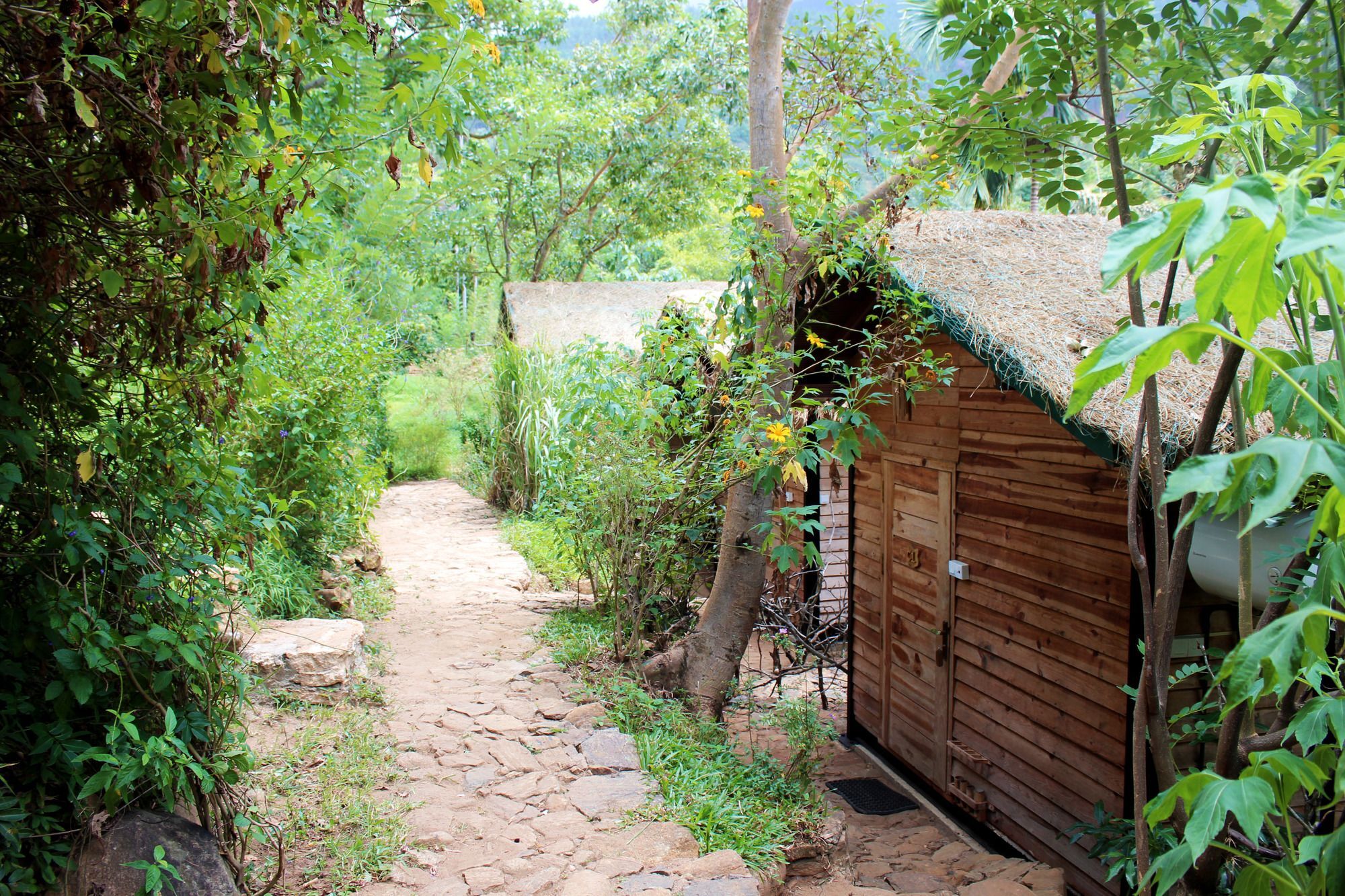 The Glenrock Wellness Nature Resort Belihuloya Eksteriør bilde